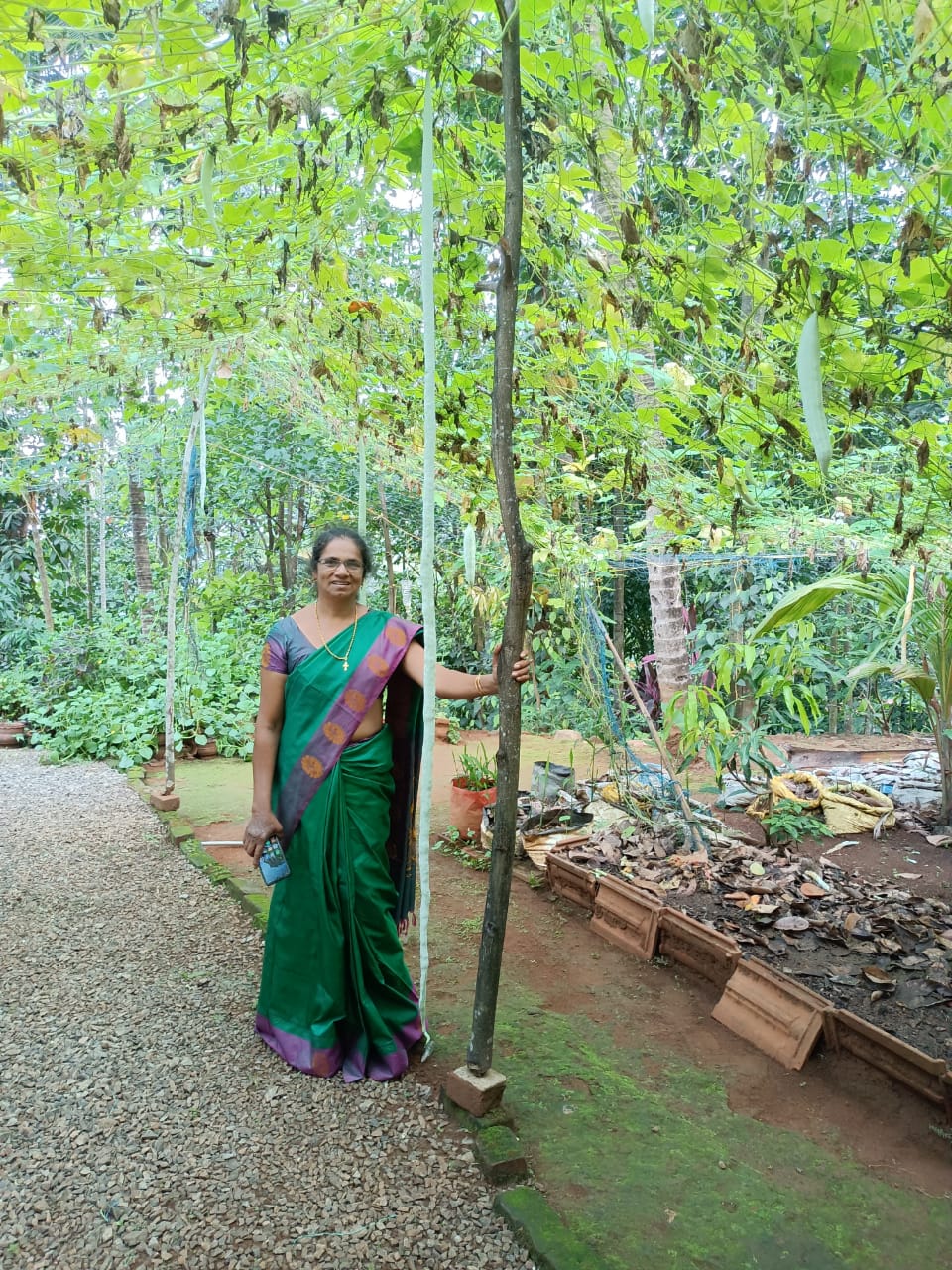snakegourd dolly