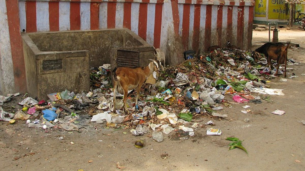 Hyderabad Horror: Father Stabs 14-Day-Old Daughter To Death, Dumps Body In Garbage