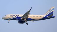 IndiGo