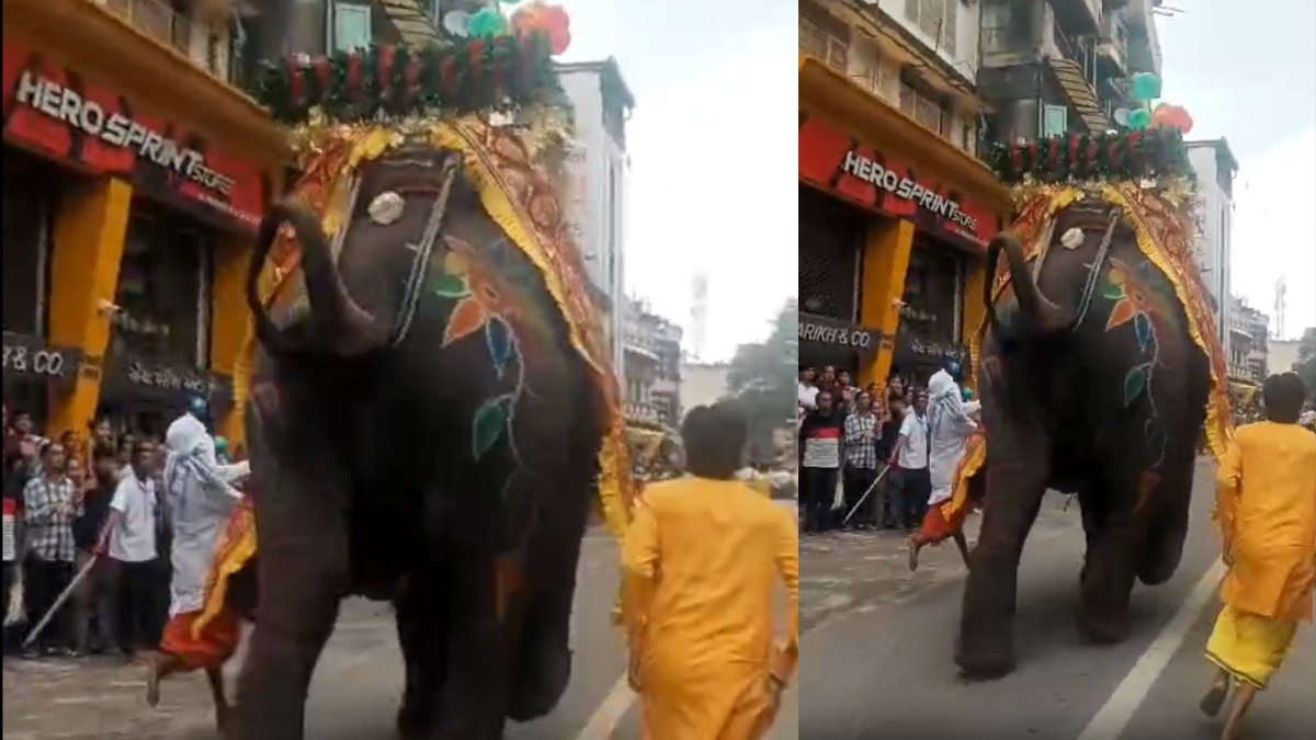 Ahmedabad: Elephant Goes Out Of Control During Rath Yatra, Creates Panic – WATCH VIDEO