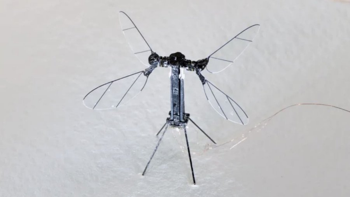 mosquito-sized drones